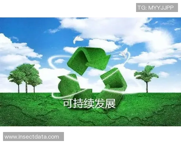 游戏产业能耗与碳足迹挑战及绿色开发倡议的探索与实践